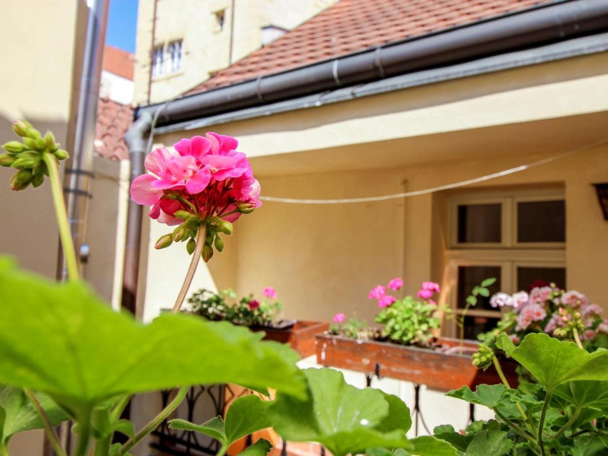 Nerudova By Interhome Praha